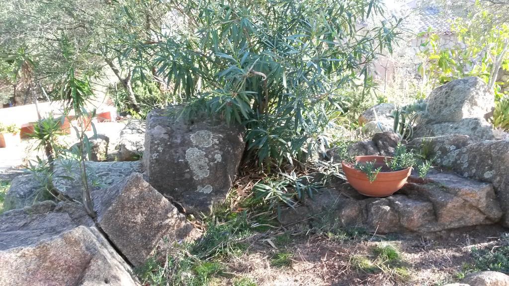 מרינה די פורטיסקו Hotel Turismo Rurale Montitundu מראה חיצוני תמונה